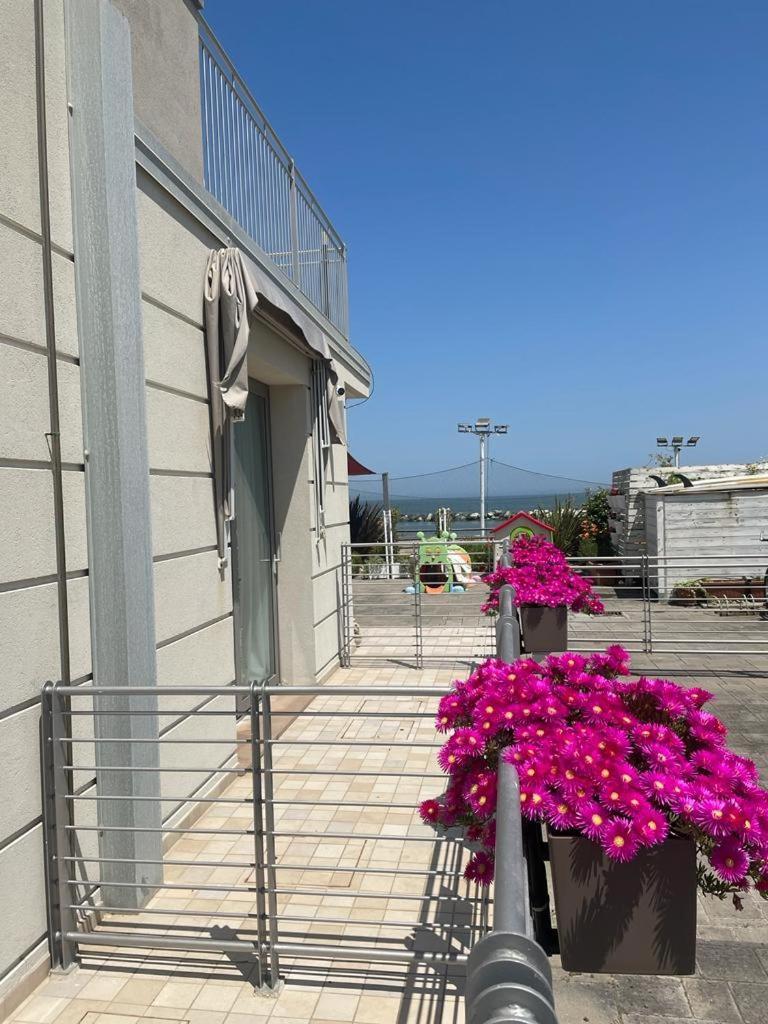 Hotel&Residence Cavalluccio Marino Rimini Esterno foto